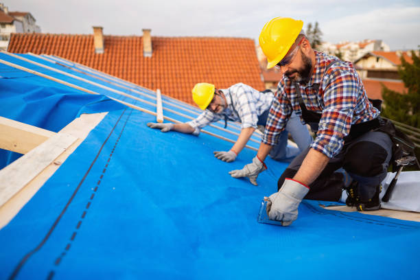 Best Storm Damage Roof Repair  in Antwerp, OH